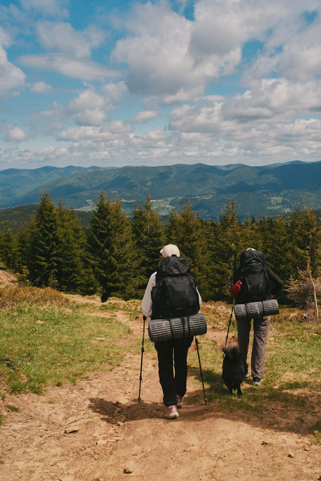 senior couple hiking in mountains